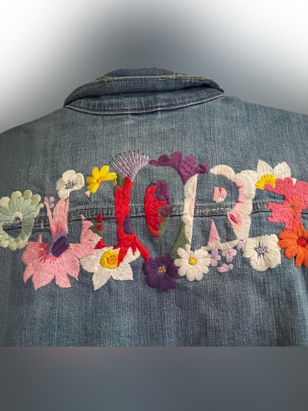 Anthropologie Pilcro Embroidered Denim Jacket, Size XL - Picture 2 of 9